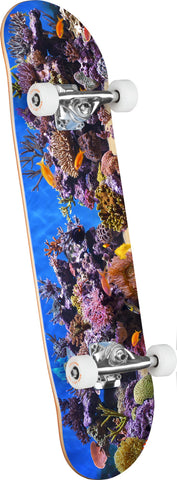 Mini Logo Fish Tank 7.75" Complete Skateboard