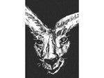 Prey Kangaroo Griptape