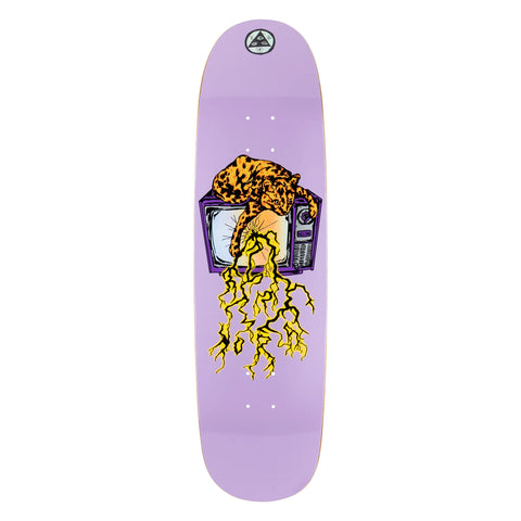 Welcome Nora Static On Sphynx 8.8" Skateboard Deck