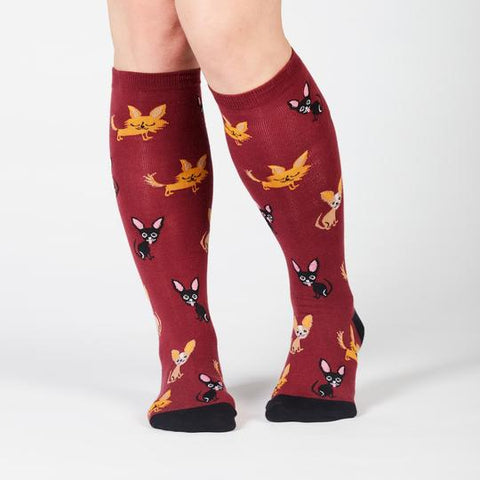 Sock It To Me Chihuahua Adult Knee Socks