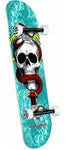 Powell Peralta McGill Skull & Snake One Off 7.75" Complete Skateboard